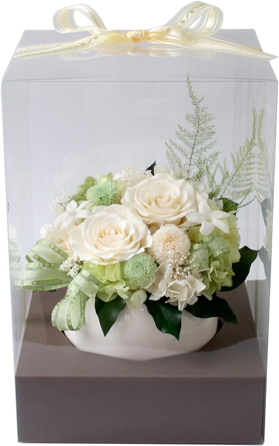 壁掛け❤️☆寄せ植え☆このまま飾れます☆多肉植物 ❤️壁掛け